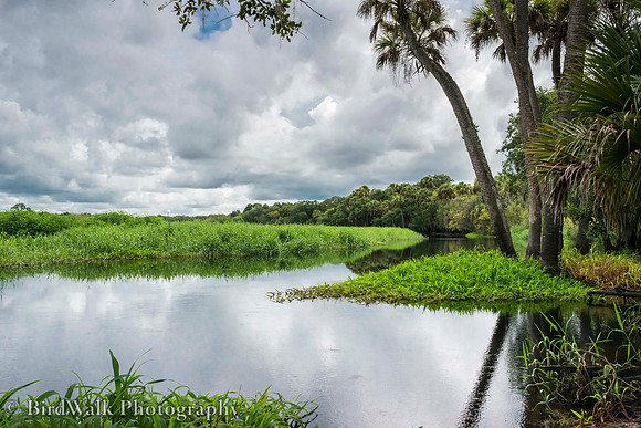 24 Myakka River State Park (06 2014)