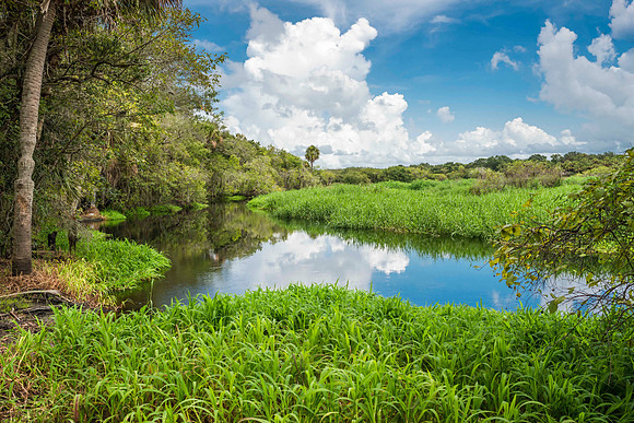1 Myakka River State Park (06 2014)